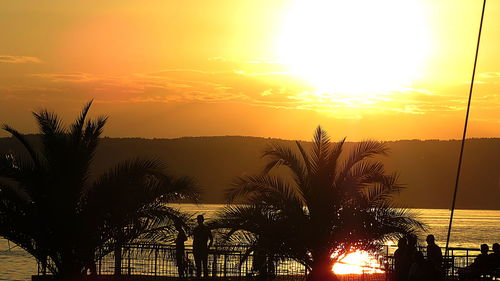 Silhouette trees by sea against romantic sky at sunset