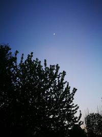 Low angle view of silhouette tree against clear blue sky