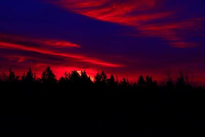 Silhouette of trees at sunset