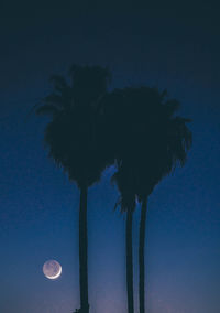 Low angle view of silhouette coconut palm tree against sky at night