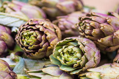 thistle