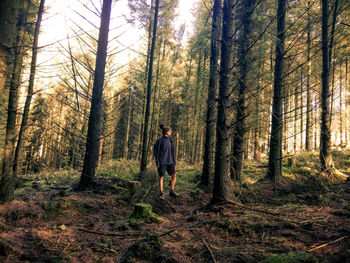 Full length of man walking in forest