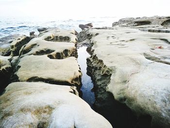 Scenic view of beach against clear sky