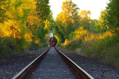 Rear view of person on railroad track during autumn