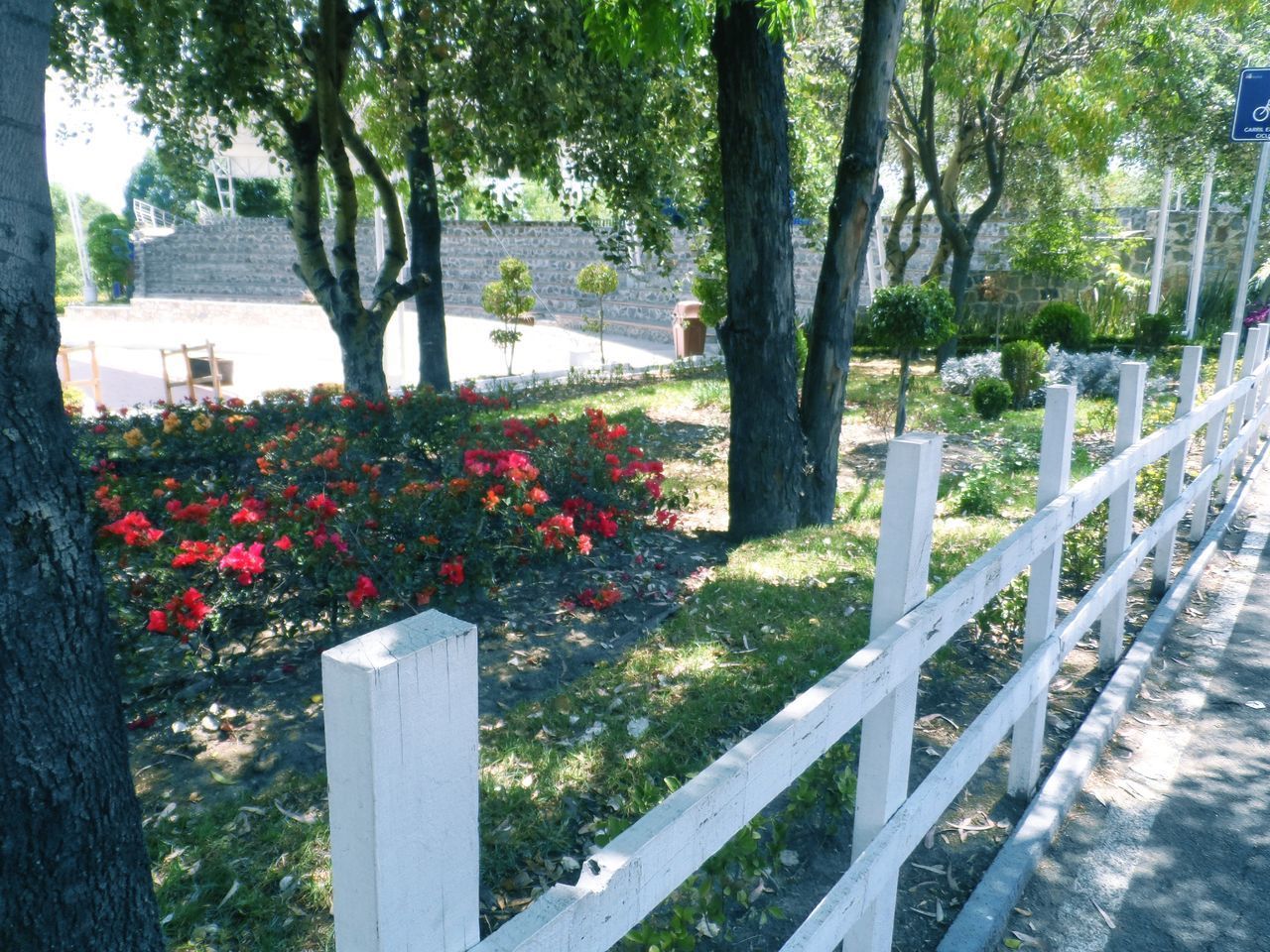 PLANTS GROWING BY FENCE