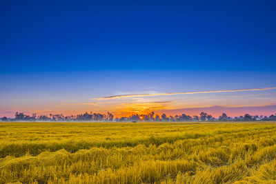 Scenic view of field against blue sky