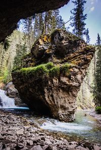 Stream flowing through rocks in forest