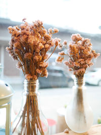 Close-up of fresh white flowers in vase on table