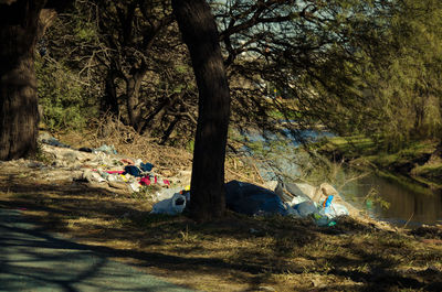 People relaxing on field by trees in forest