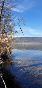 Scenic view of frozen lake against sky