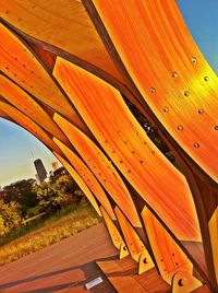 Low angle view of orange wood against sky