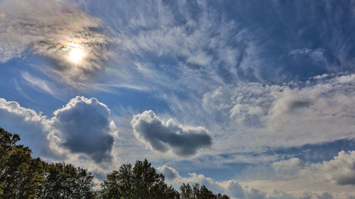 Low angle view of trees against cloudy sky