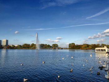 Birds in lake against blue sky