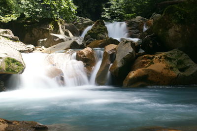 Scenic view of waterfall in forest