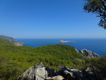 Scenic view of sea against clear blue sky