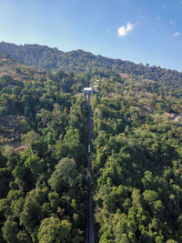 High angle view of trees and plants growing against sky