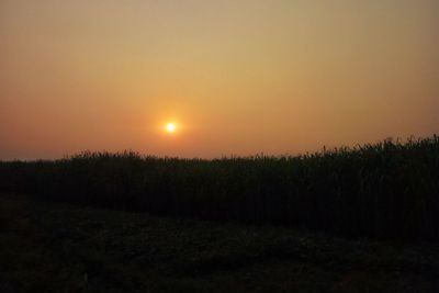 Scenic view of field against clear sky during sunset