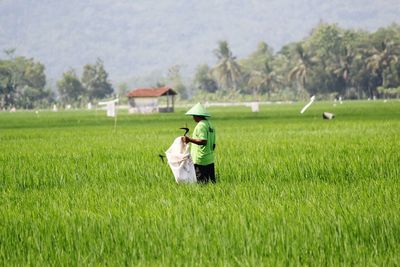 Farmer holding sack while working in rice field