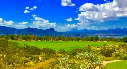 Scenic view of landscape against sky