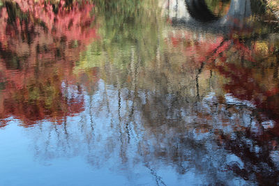 Reflection of trees in lake