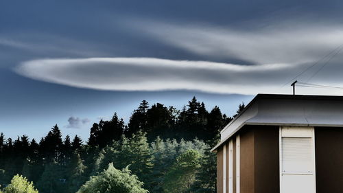 Trees against sky