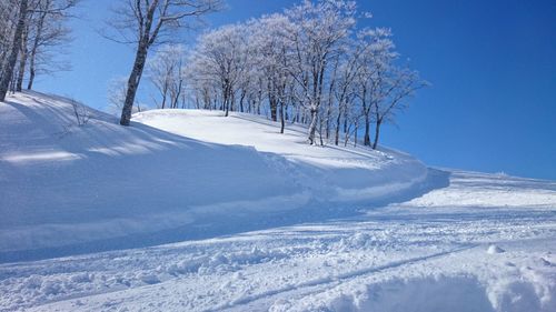 Snow covered land and trees against sky