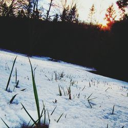 Snow covered landscape at sunset