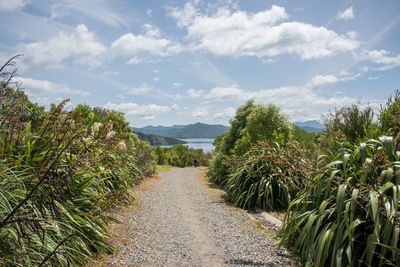 Panoramic view of road amidst trees against sky