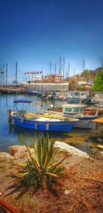 Boats moored in harbor