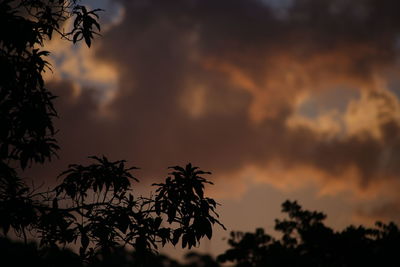 Low angle view of silhouette trees against sky at sunset