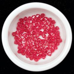 High angle view of red berries in plate