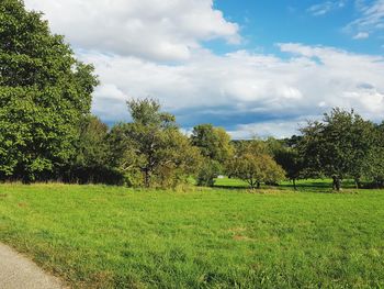 Scenic view of field against sky