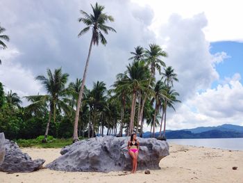 Palm trees on beach against sky