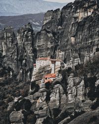 View of trees on cliff