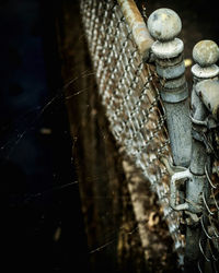 Close-up of spider web