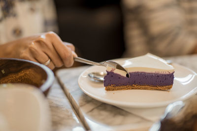 Midsection of person holding cake slice in plate