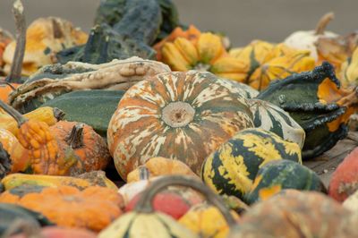 Close-up of pumpkins for sale at market stall