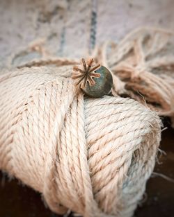 High angle view of rope tied up on wood