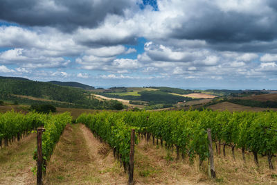 Scenic view of landscape against sky