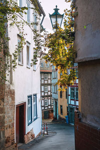 Residential buildings by street in city