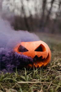 Close-up of pumpkin on field