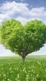 green color