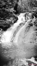 Scenic view of waterfall in forest