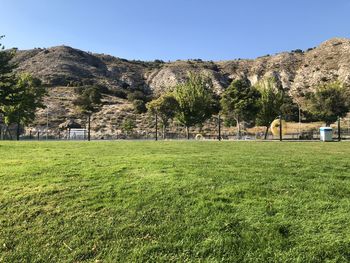Scenic view of field against clear sky