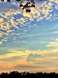 Low angle view of silhouette trees against sky during sunset