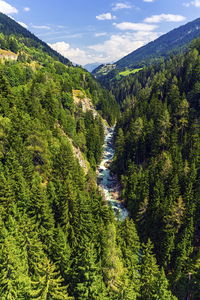 Scenic view of forest by mountains against sky