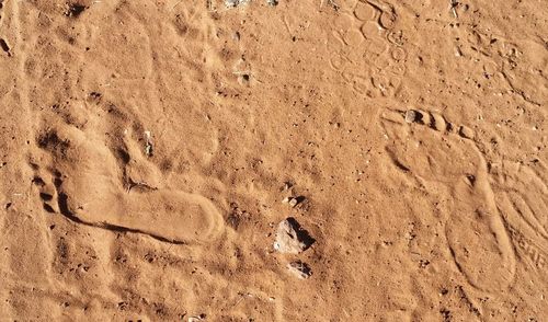 High angle view of footprints on sand at beach