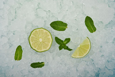 High angle view of green leaves on snow