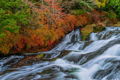 Scenic view of waterfall in forest during autumn