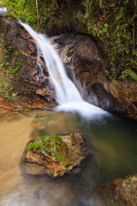 Water flowing through rocks in forest